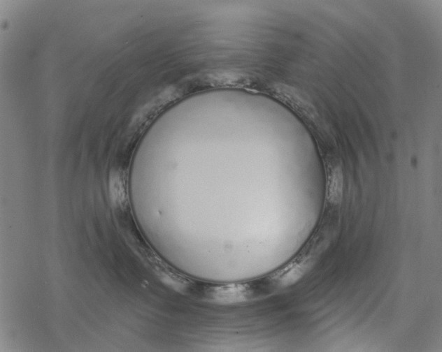 X0000077400335200611101826