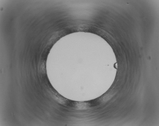 X0000077400336200611101826