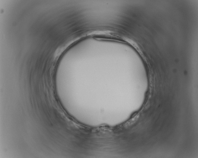 X0000077400337200611101825