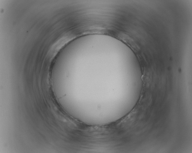 X0000077400338200611101825