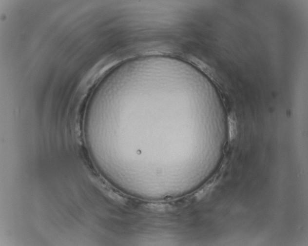 X0000077400339200611101825