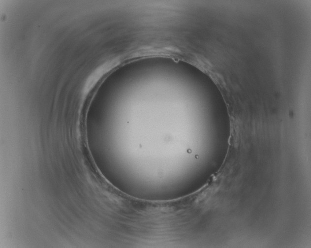 X0000077400340200611101825