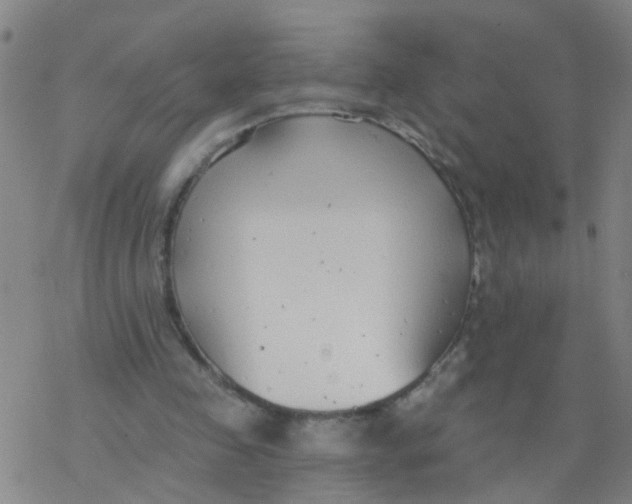 X0000077400341200611101825