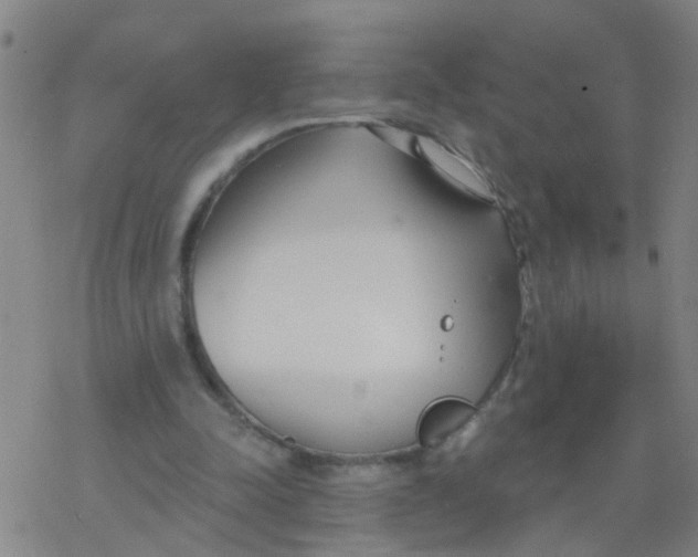 X0000077400342200611101825