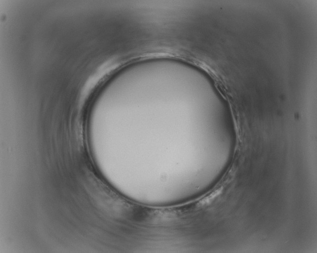 X0000077400343200611101825