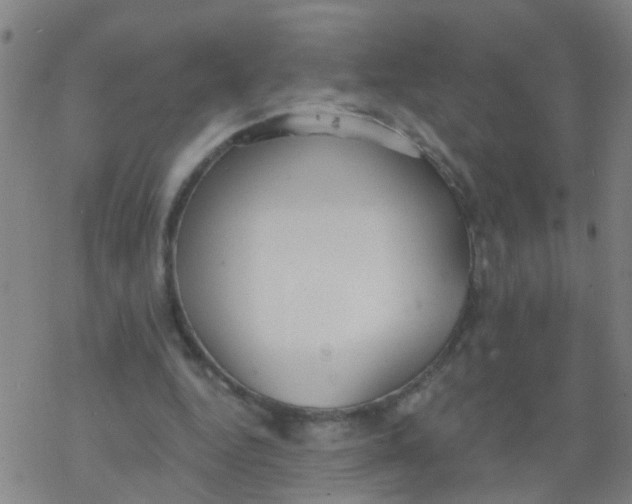 X0000077400344200611101825