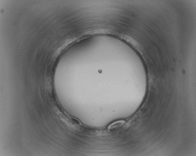 X0000077400345200611101825