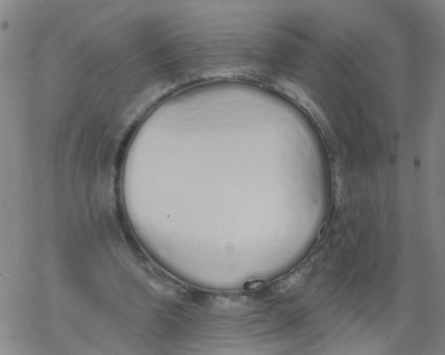 X0000077400346200611101826