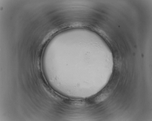 X0000077400347200611101826