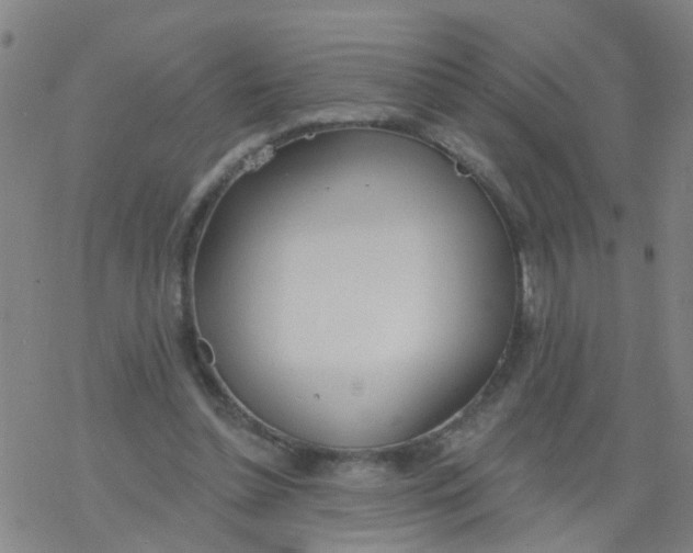 X0000077400348200611101826