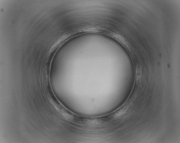 X0000077400349200611101826