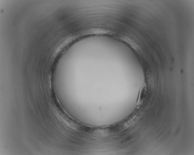 X0000077400350200611101826