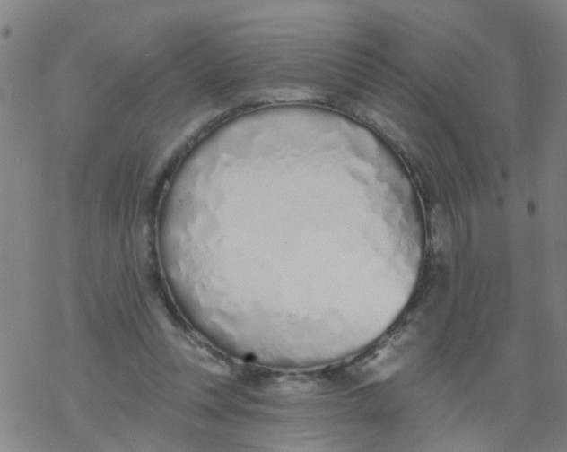 X0000077400351200611101826