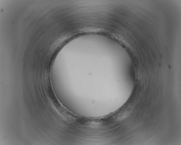 X0000077400352200611101826