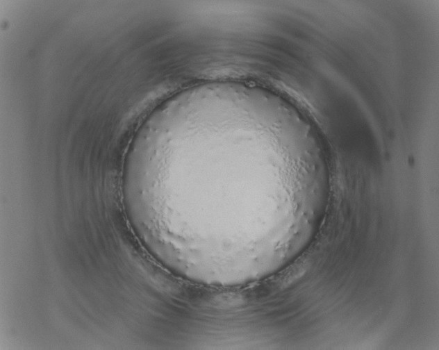 X0000077400353200611101826