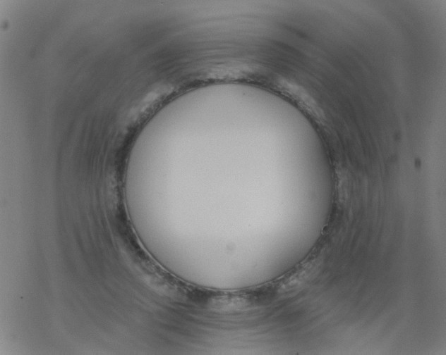 X0000077400354200611101826