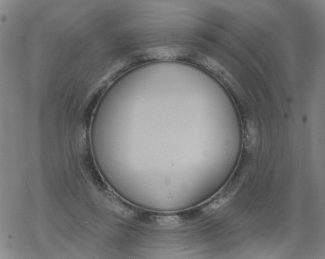 X0000077400355200611101826