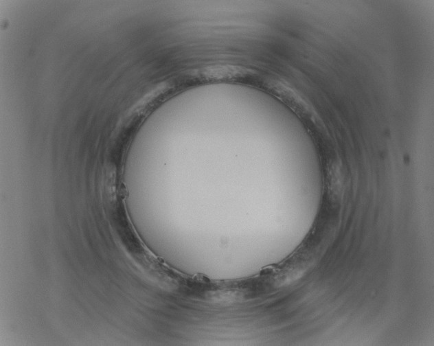 X0000077400356200611101826