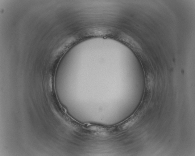 X0000077400358200611101826