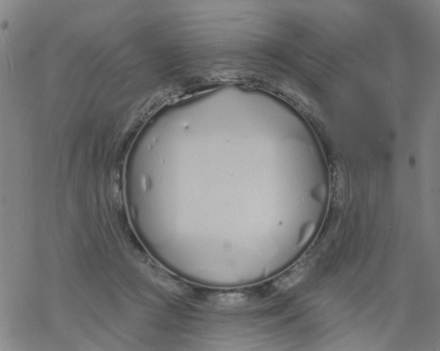 X0000077400361200611101826