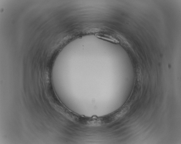 X0000077400362200611101826