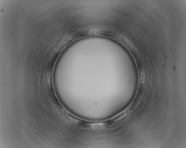 X0000077400363200611101826