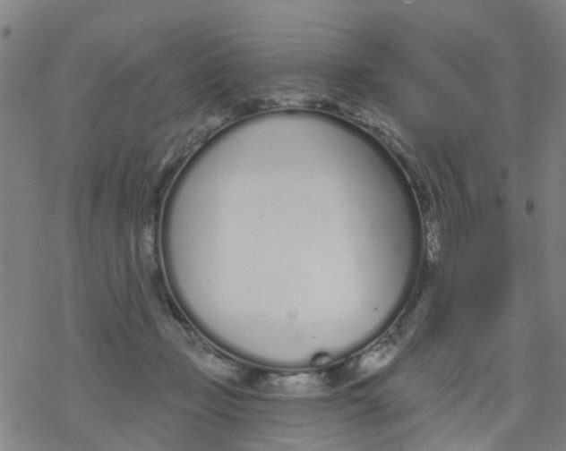 X0000077400365200611101826