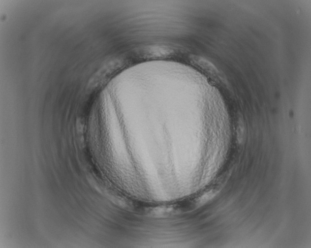 X0000077400366200611101826