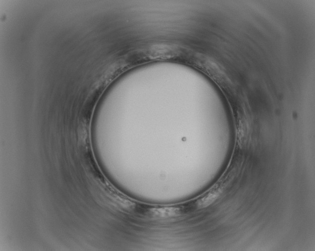 X0000077400367200611101826