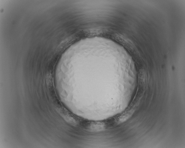 X0000077400369200611101826