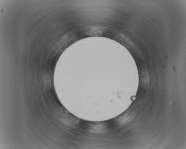 X0000077400370200611101826