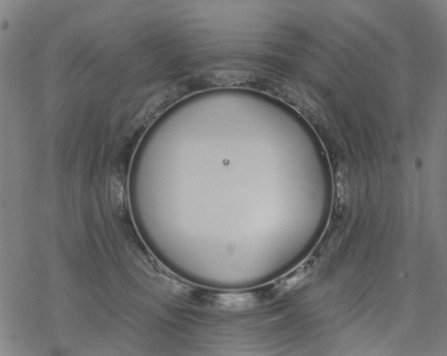 X0000077400371200611101826