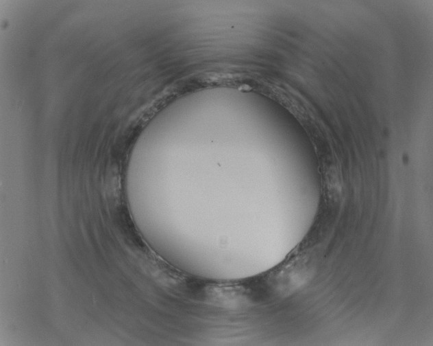 X0000077400372200611101826