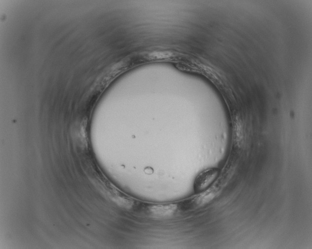 X0000077400373200611101826