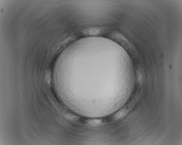 X0000077400374200611101826