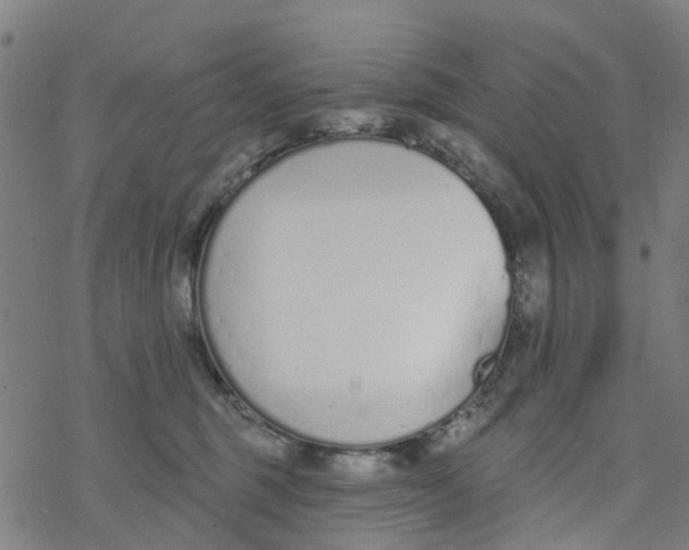 X0000077400375200611101826