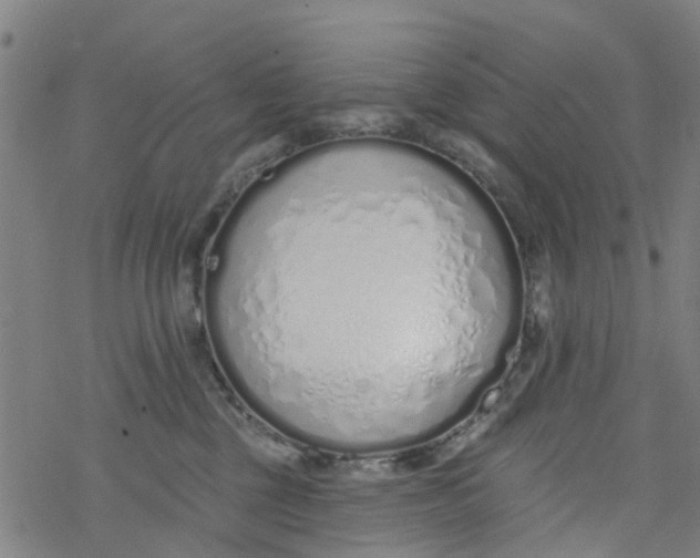 X0000077400377200611101826