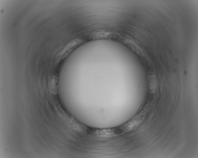 X0000077400378200611101826