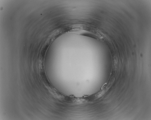 X0000077400379200611101826