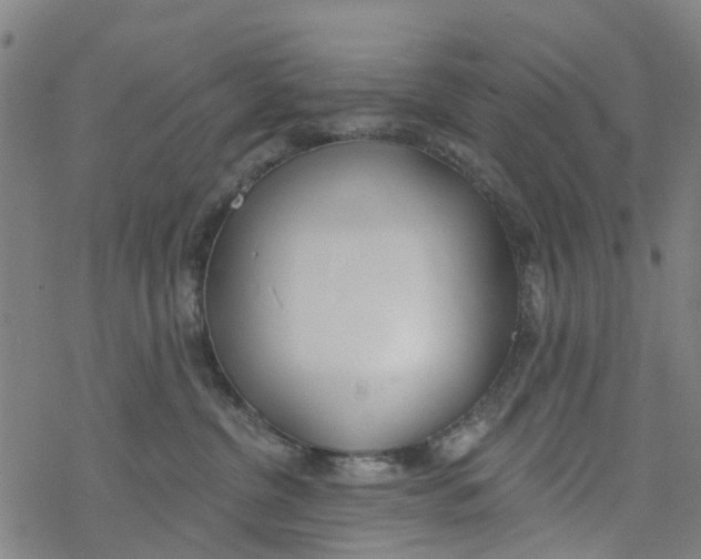 X0000077400380200611101826