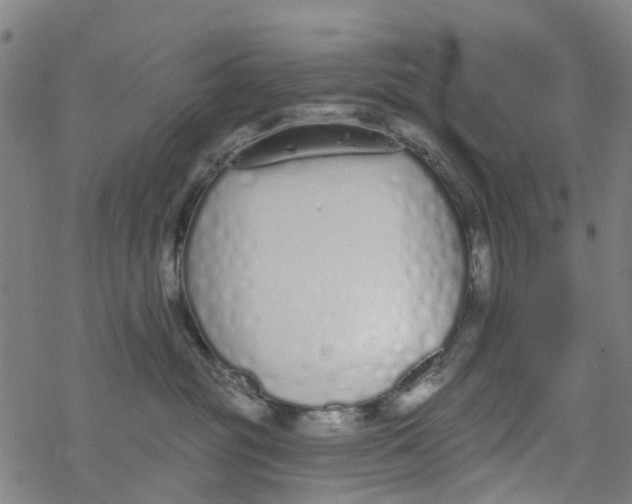 X0000077400381200611101826