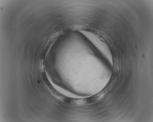 X0000077400383200611101826