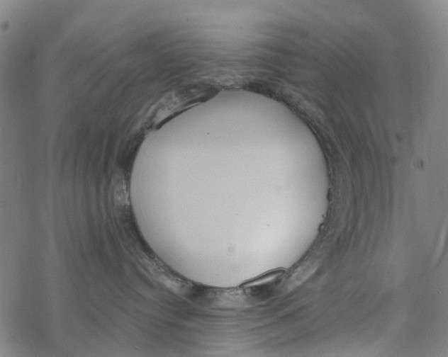 X0000077400384200611101826