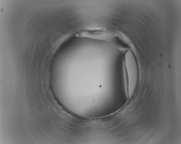 X0000077400385200611101825