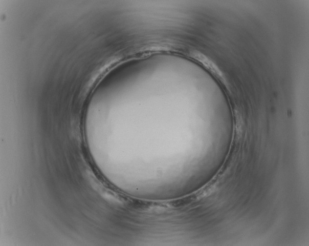 X0000077400386200611101825