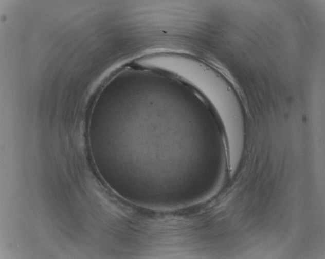 X0000077400387200611101825