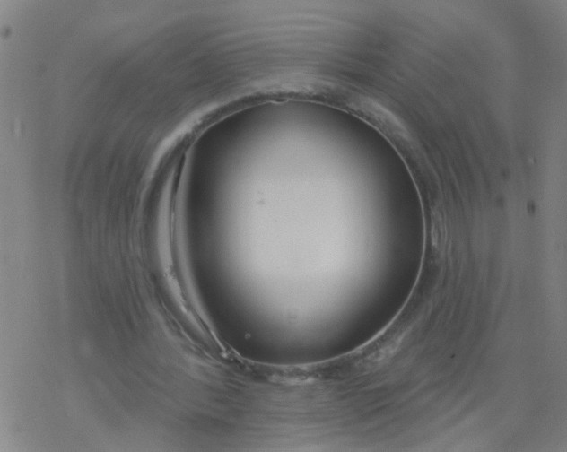 X0000077400388200611101825