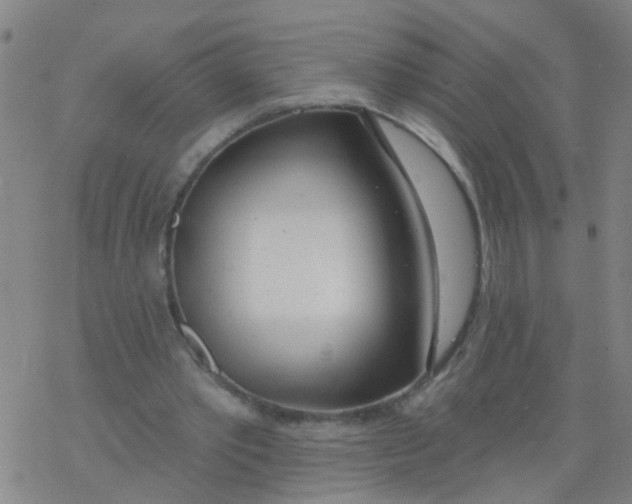 X0000077400389200611101825