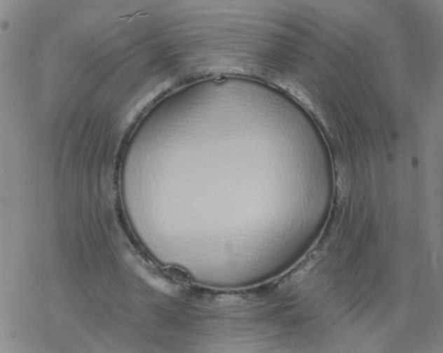 X0000077400390200611101825