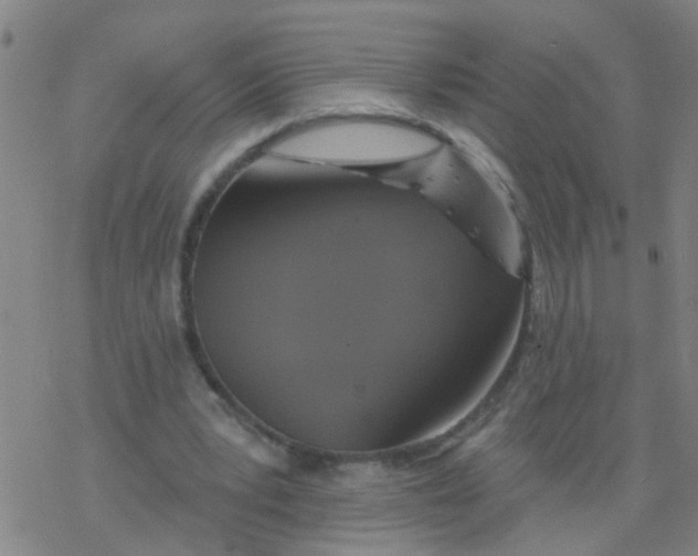 X0000077400391200611101825